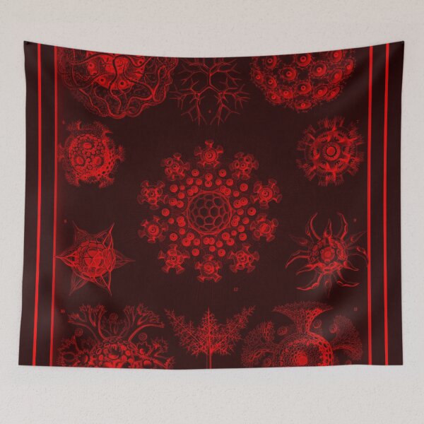 Item preview, Polycyttaria SciArt Illustration by Ernst Haeckel 02 designed and sold by Maha Karuna.