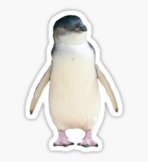 Fairy Penguin Sticker