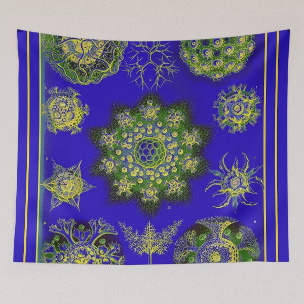 Item preview, Polycyttaria SciArt Illustration by Ernst Haeckel 03 designed and sold by Maha Karuna.
