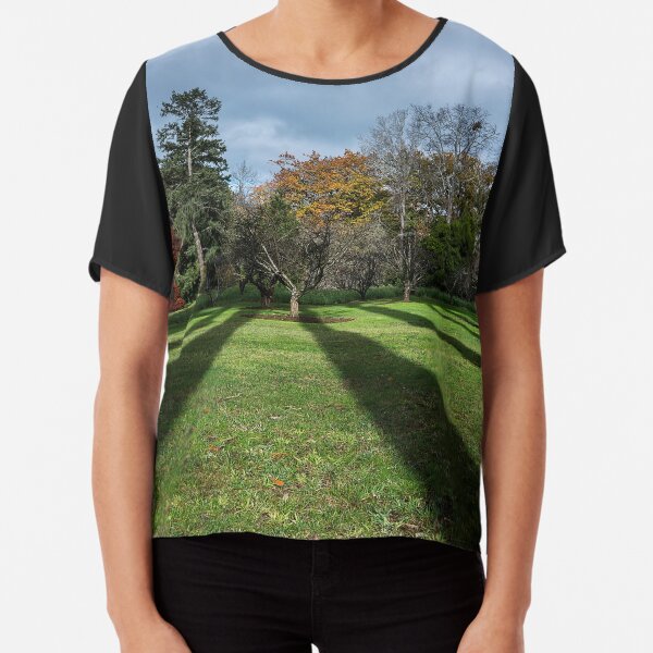A Coloured Winter's Day Chiffon Top