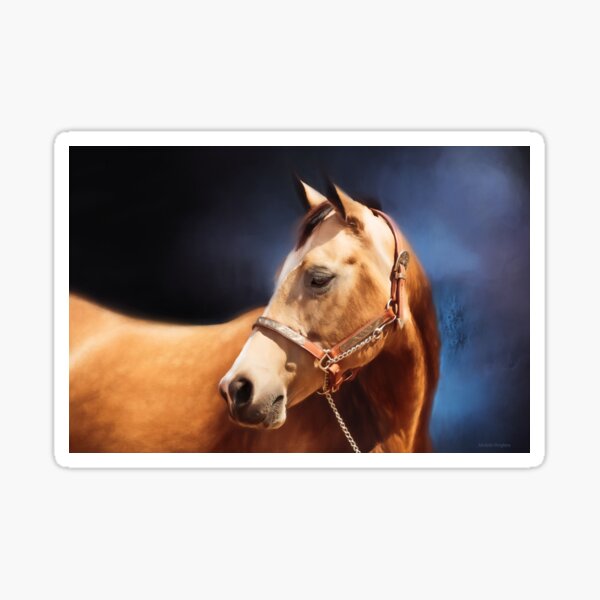 Aperçu de l'œuvre Golden Buckskin Quarter horse sur bleu créée et vendue par Michelle Wrighton.