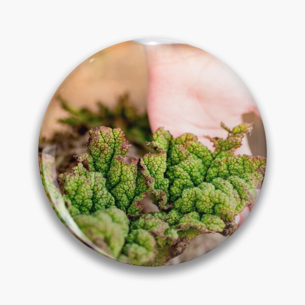 Item preview, Childs hand while holding a dying plant designed and sold by Artsy Boulevard.