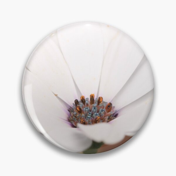 Item preview, Osteospermum designed and sold by Karen-Warren.