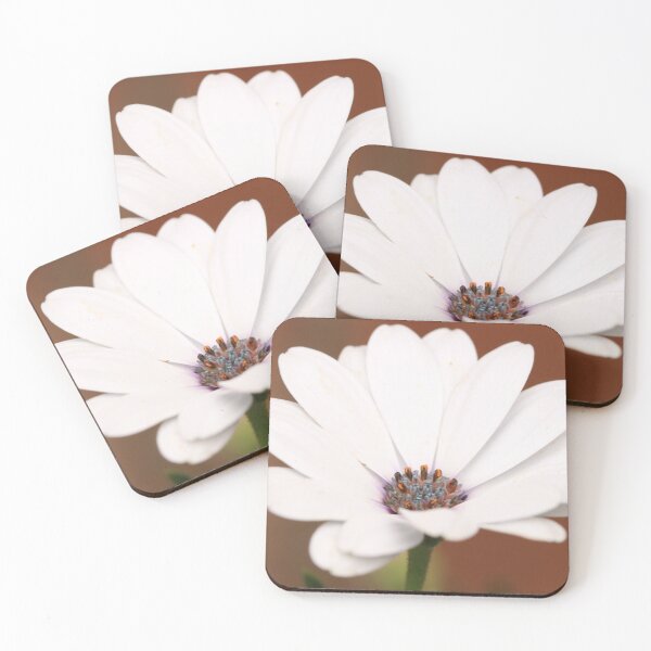 Item preview, Osteospermum designed and sold by Karen-Warren.
