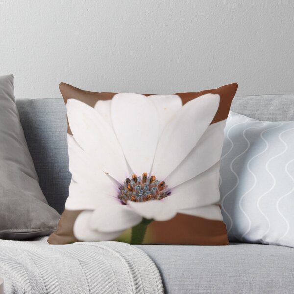 Item preview, Osteospermum designed and sold by Karen-Warren.