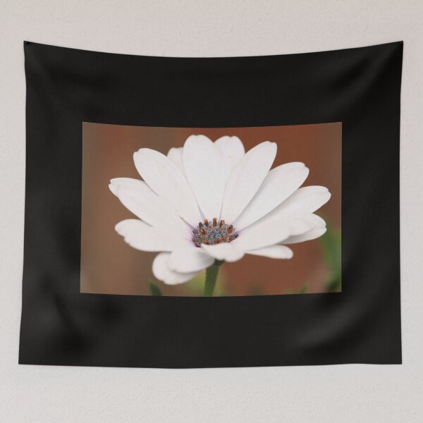 Item preview, Osteospermum designed and sold by Karen-Warren.