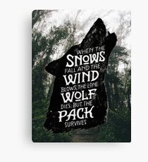 A Game of Thrones Canvas Print