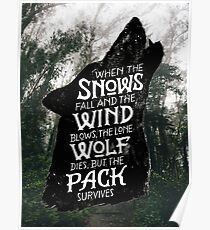 A Game of Thrones Poster