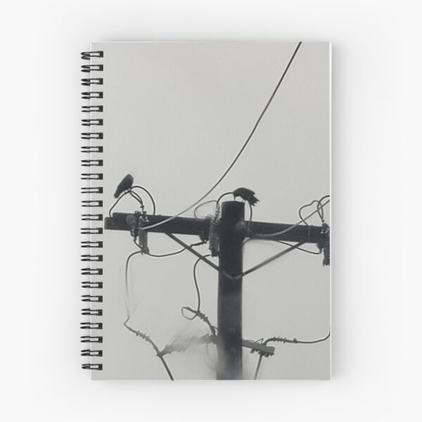 Item preview, Crows on the wire designed and sold by BrotherMike82.