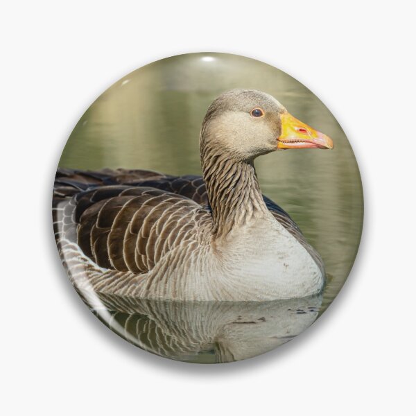 Item preview, Greylag goose reflections designed and sold by Dalyndigital Photography.