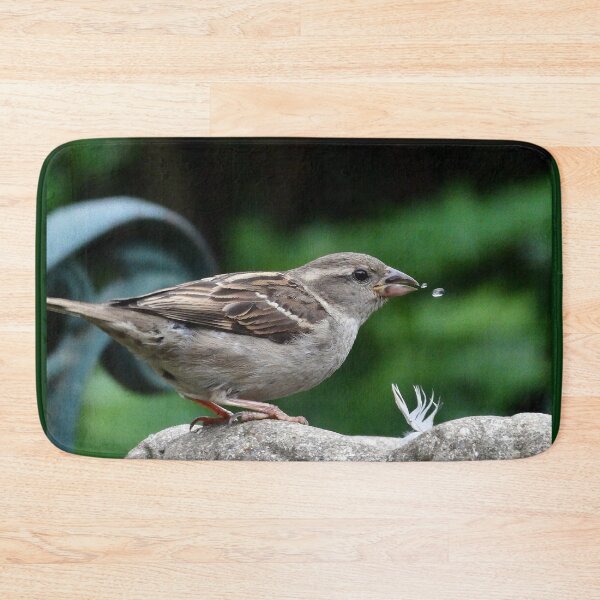 Item preview, House Sparrow takes a drink. designed and sold by JonDelorme.