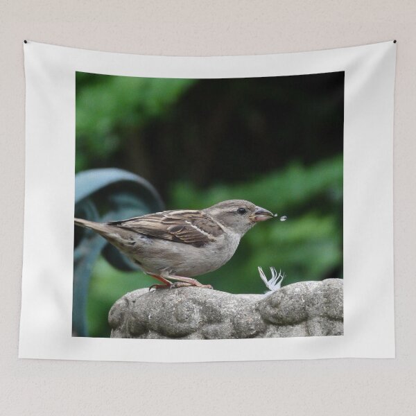 Item preview, House Sparrow takes a drink. designed and sold by JonDelorme.