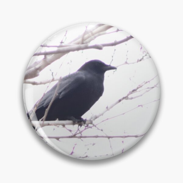Item preview, A crow in a tree designed and sold by BrotherMike82.