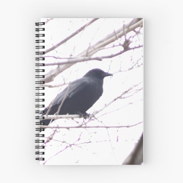 Item preview, A crow in a tree designed and sold by BrotherMike82.