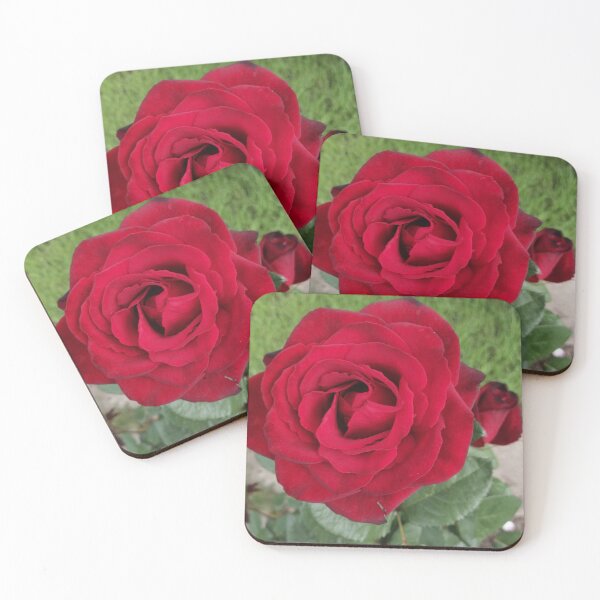 Item preview, red rose in the summer garden designed and sold by Olga Kydryavskaya.