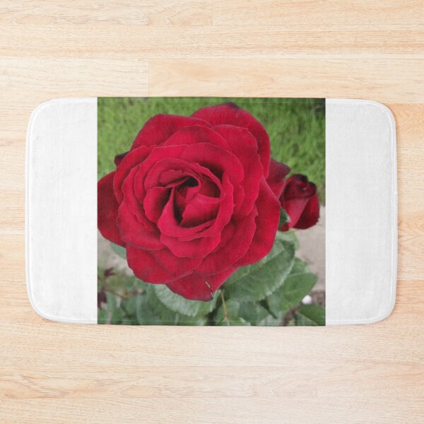 Item preview, red rose in the summer garden designed and sold by Olga Kydryavskaya.