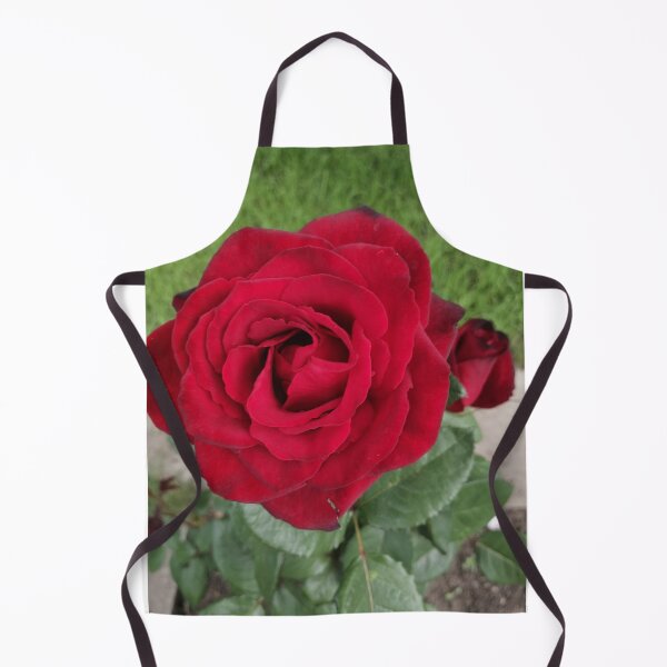 Item preview, red rose in the summer garden designed and sold by Olga Kydryavskaya.