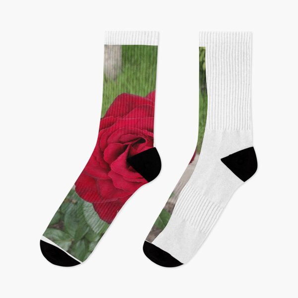 Item preview, red rose in the summer garden designed and sold by Olga Kydryavskaya.