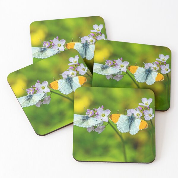Item preview, Mr and Mrs Orange tip butterfly designed and sold by Dalyndigital Photography.