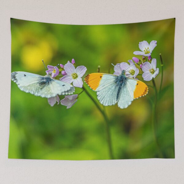 Item preview, Mr and Mrs Orange tip butterfly designed and sold by Dalyndigital Photography.