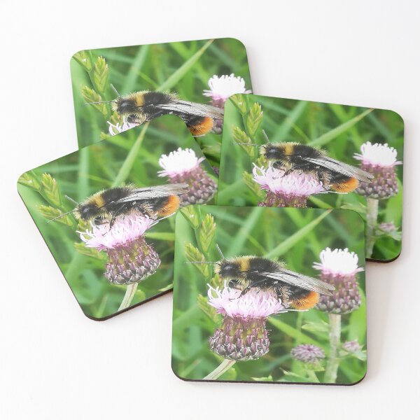 Aperçu de l'œuvre Amoureux des abeilles - Art floral créée et vendue par DiensDesign.