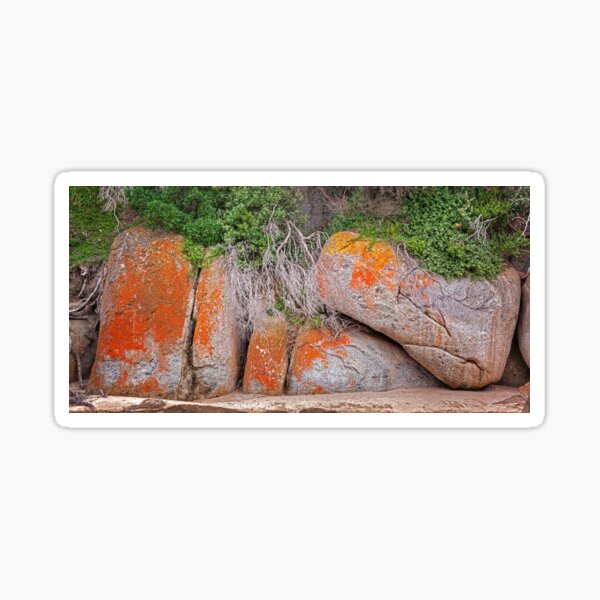Item preview, 2090 Tidal River designed and sold by Hans Kawitzki.