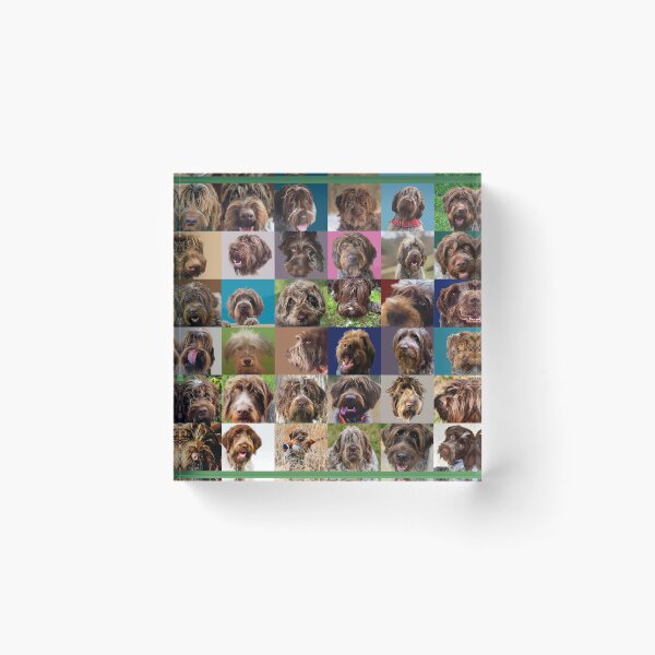 Artikelvorschau, GRIFF PUZZLE SONDERAUSGABE entworfen und verkauft von boesarts.