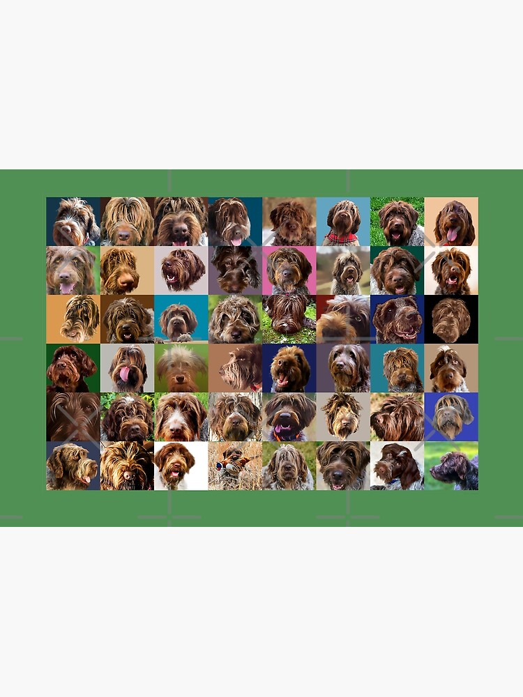 GRIFF PUZZLE SPECIAL EDITION by boesarts