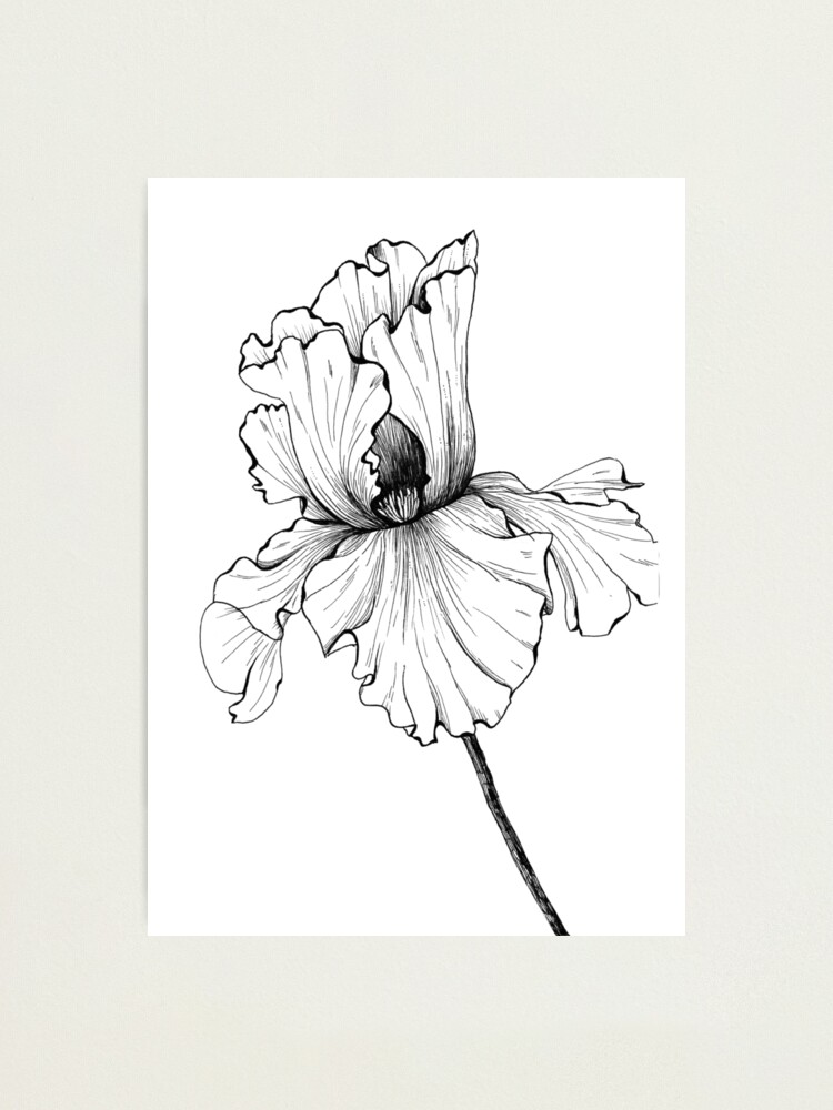 Single needle iris flower on the tricep