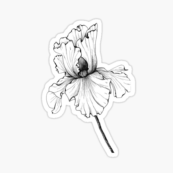 Lily Flower Tattoo Stock Vector Illustration and Royalty Free Lily Flower  Tattoo Clipart