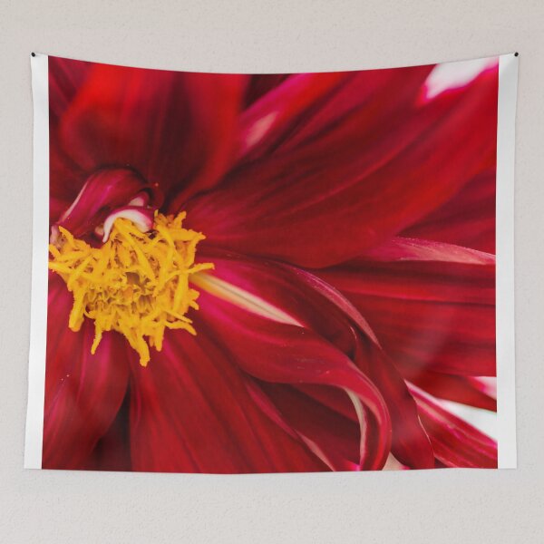 Item preview, horizontal blurry super focus closeup shot of a red flower background image and white corners designed and sold by Artsy Boulevard.