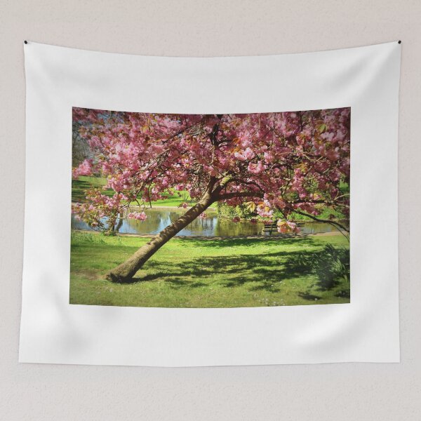 Item preview, Collett Park. Cherry Blossom, Somerset designed and sold by JonDelorme.