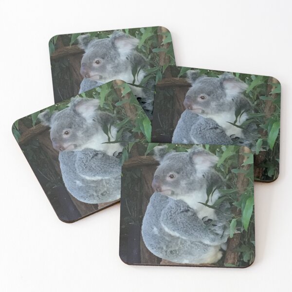 Item preview, Australian Koala designed and sold by AariciaH.