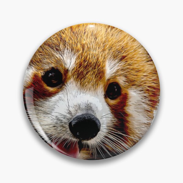 Item preview, Horizontal full length Closeup shot Red panda bear playing on a tree trunk. Face of a red panda bear showing its tongue designed and sold by Artsy Boulevard.