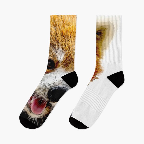 Item preview, Horizontal full length Closeup shot Red panda bear playing on a tree trunk. Face of a red panda bear showing its tongue designed and sold by Artsy Boulevard.