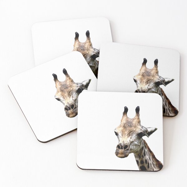Item preview, A closeup photo of a Giraffa camelopardalis Giraffe's head in a zoo somewhere in Asia. Colorful wildlife photo designed and sold by Artsy Boulevard.