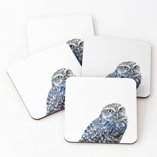 Item preview, little owl, also known as the owl of Minerva, is a bird that inhabits much of the temperate and warmer parts of Europe, the Palearctic east to Korea, and north Africa designed and sold by Artsy Boulevard.