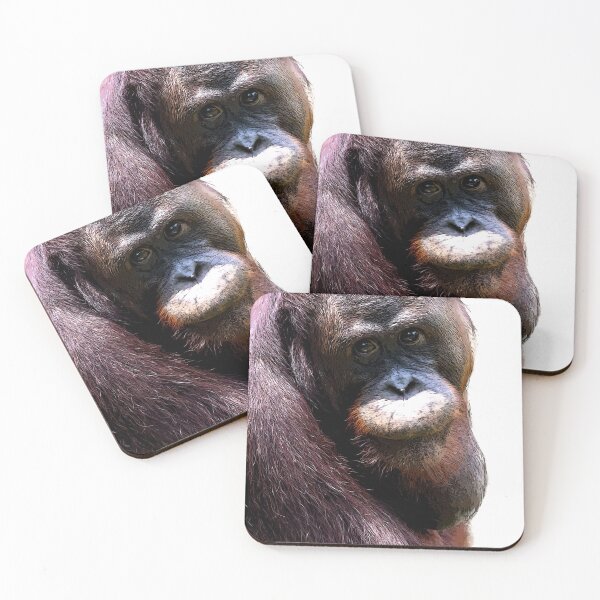 Item preview, Bornean orangutan closeup shot on face and big eyes in a zoo designed and sold by Artsy Boulevard.