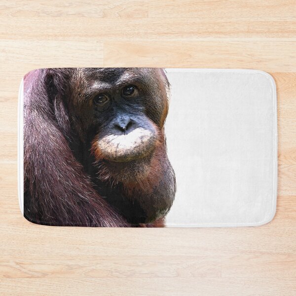 Item preview, Bornean orangutan closeup shot on face and big eyes in a zoo designed and sold by Artsy Boulevard.