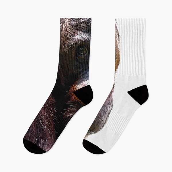 Item preview, Bornean orangutan closeup shot on face and big eyes in a zoo designed and sold by Artsy Boulevard.