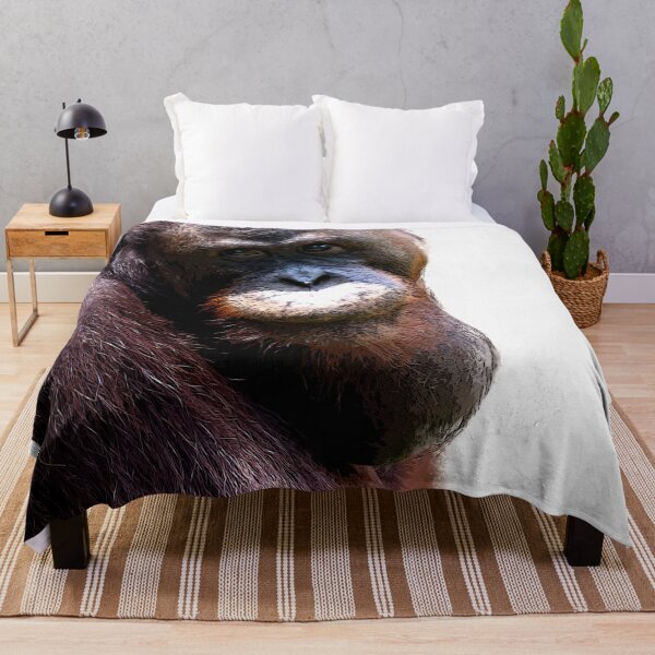 Item preview, Bornean orangutan closeup shot on face and big eyes in a zoo designed and sold by Artsy Boulevard.