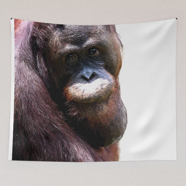 Item preview, Bornean orangutan closeup shot on face and big eyes in a zoo designed and sold by Artsy Boulevard.