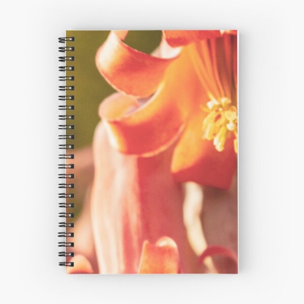 Item preview, Cotyledon Flower designed and sold by Chris Van Niekerk.