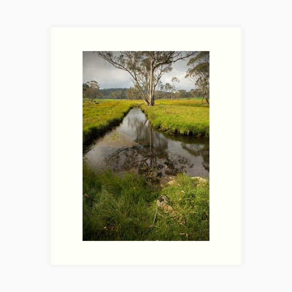 Item preview, Styx River - NSW Australia designed and sold by Barbara Burkhardt.