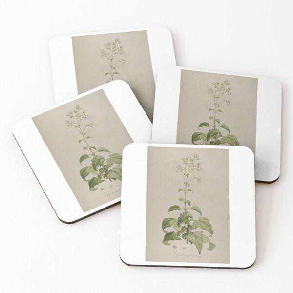 Item preview, vintage botanical designed and sold by Txxmstore.