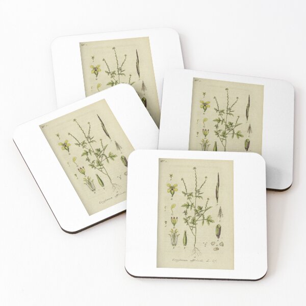 Item preview, vintage botanical designed and sold by Txxmstore.