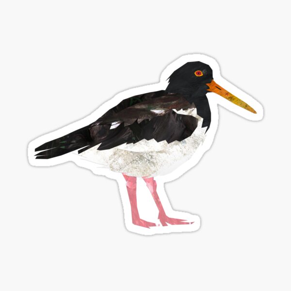 Item preview, Oystercatcher designed and sold by BabbanGaelg.