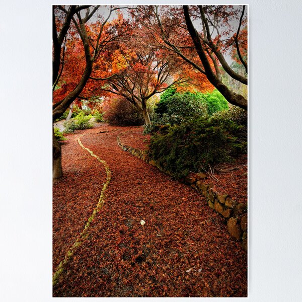 Item preview, Rhododendron garden, Burnie designed and sold by Colin White.