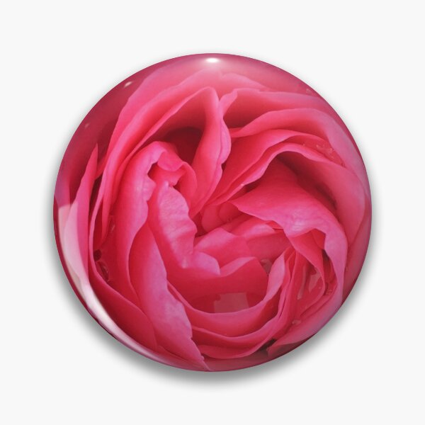 Item preview, Pink rose with black vignette  designed and sold by CMSWorldColour.