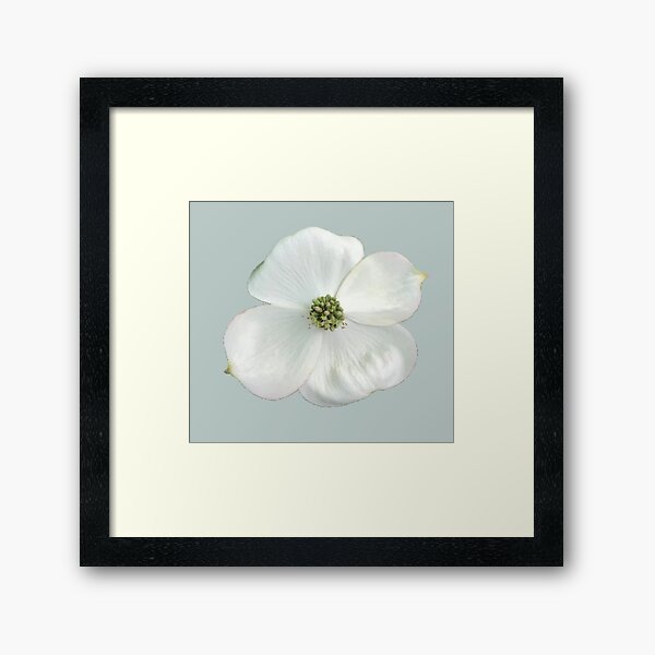 Item preview, White Dogwood Flower Close-up on Soft Aqua designed and sold by InalterataArt.